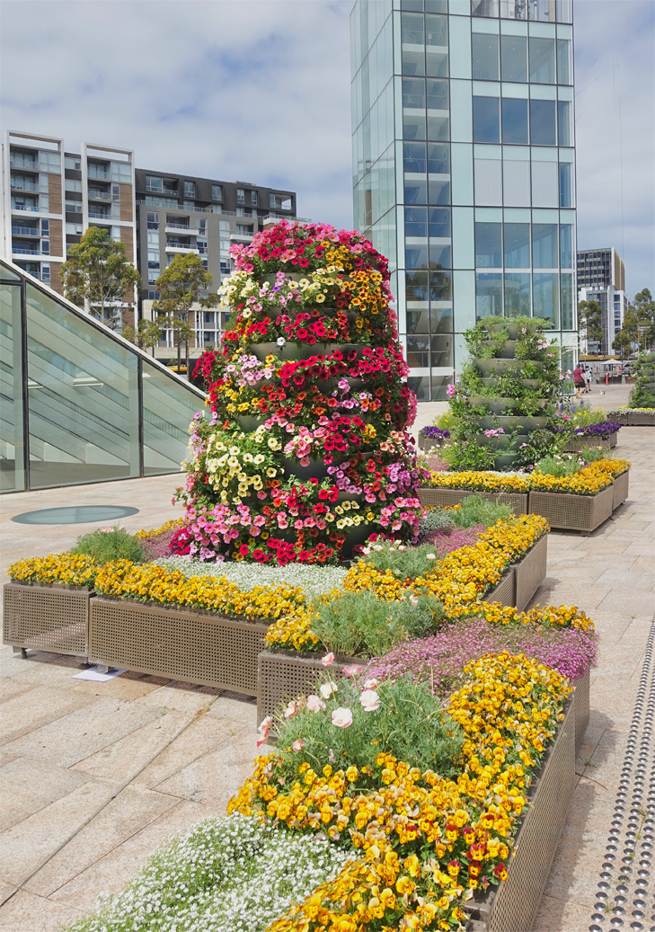 CITYWIDE - 2021 spring Plants Display green